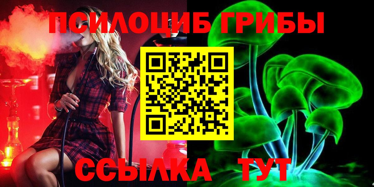 Псилоцибиновые грибы GOLDEN TEACHER Черногорск
