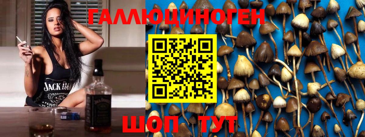Черногорск  Галлюциногенные грибы ЛСД  Вход с VPN 