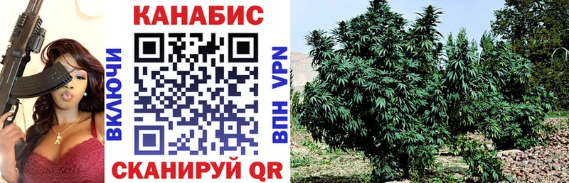 где продают Черногорск МАРИХУАНА план